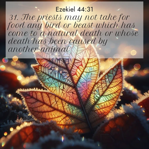 BasicEnglish Ezekiel  ; image nature: image with the bible verse :The priests may not take for food any bird or beast which has come to a natural death or whose death has been caused by another animal. ; Admire Bible images representing autumn, with swirling leaves, misty skies, and vibrant trees. These images inspire profound spiritual reflection. Download and share verses like KJV Ezekiel 44:31. Current verse is overlayed with the thematic nature scene : Frost crystals form intricate patterns on a fallen leaf. Morning sun transforms them into rainbow prisms. ; 44:31