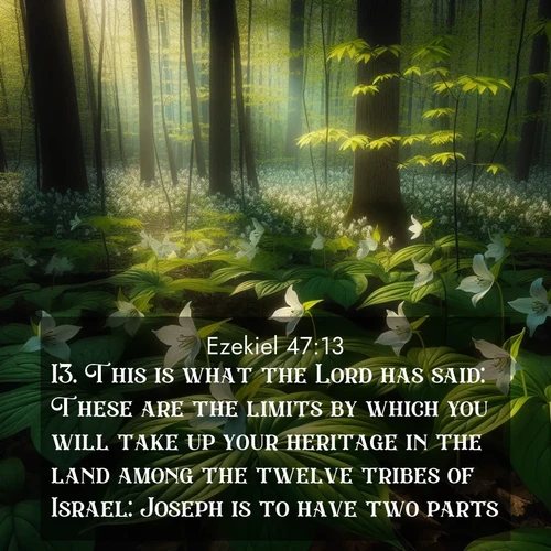BasicEnglish Ezekiel  ; image nature: image with the bible verse :This is what the Lord has said: These are the limits by which you will take up your heritage in the land among the twelve tribes of Israel: Joseph is to have two parts. ; Explore our vast collection of images featuring beautifully illustrated Bible verses accompanied by nature photos. Discover inspiring and motivating verses paired with soothing landscapes, like shimmering lakes, majestic mountains, and lush forests. Our images highlight the peaceful beauty of God&#039;s creation with vibrant colors and varied fonts. Download and share verse images like KJV Ezekiel 47:13. Current verse is overlayed with the thematic nature scene : Wild trillium carpets the forest floor. Sunlight filters green through new spring leaves. ; 47:13
