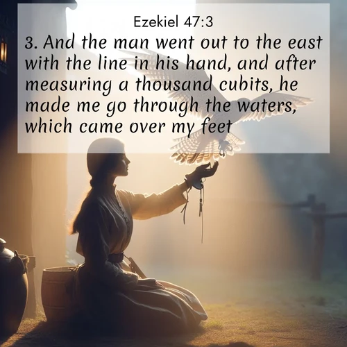 BasicEnglish Ezekiel  ; image nature: image with the bible verse :And the man went out to the east with the line in his hand, and after measuring a thousand cubits, he made me go through the waters, which came over my feet. ; Admire Bible images representing autumn, with swirling leaves, misty skies, and vibrant trees. These images inspire profound spiritual reflection. Download and share verses like KJV Ezekiel 47:3. Current verse is overlayed with the thematic nature scene : A falconer releases his bird. Wind lifts magnificent wings. ; 47:3