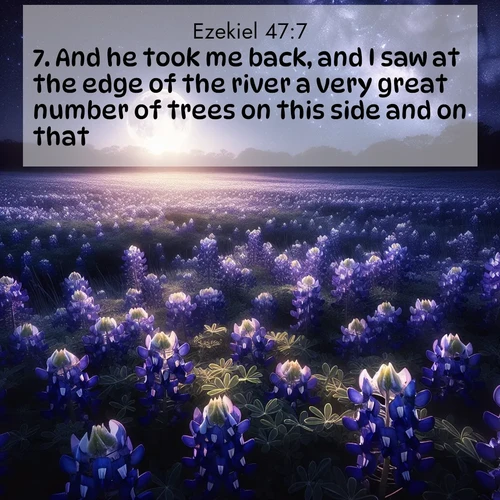 BasicEnglish Ezekiel  ; image nature: image with the bible verse :And he took me back, and I saw at the edge of the river a very great number of trees on this side and on that. ; Discover breathtaking Bible verse images combined with vibrant landscapes like rolling hills, blooming gardens, and starry nights. Use them as wallpapers or to inspire others. Download verses like KJV Ezekiel 47:7. Current verse is overlayed with the thematic nature scene : Moonlight illuminates a field of bluebonnets. A warm breeze carries their sweet fragrance across the prairie. ; 47:7