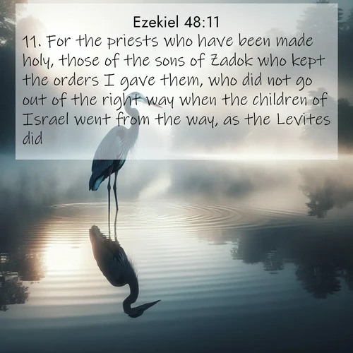BasicEnglish Ezekiel  ; image nature: image with the bible verse :For the priests who have been made holy, those of the sons of Zadok who kept the orders I gave them, who did not go out of the right way when the children of Israel went from the way, as the Levites did, ; Explore free Bible verse images with stunning nature themes, including sunlit paths, forest clearings, and endless horizons. Perfect for desktop backgrounds or phone wallpapers. Verses include KJV Ezekiel 48:11. Current verse is overlayed with the thematic nature scene : A great blue heron stands motionless in morning fog. Ripples spread from its reflection. ; 48:11