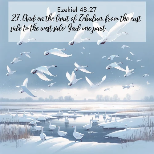 BasicEnglish Ezekiel  ; image nature: image with the bible verse :And on the limit of Zebulun, from the east side to the west side: Gad one part. ; Admire our autumnal collection of Bible verse images accompanied by photos of paths lined with red and yellow leaves, fiery forests, and calm rivers. These images inspire reflection and serenity. Share verses like KJV Ezekiel 48:27. Current verse is overlayed with the thematic nature scene : Snow geese take flight from a winter marsh. Their wings flash white against leaden skies. ; 48:27