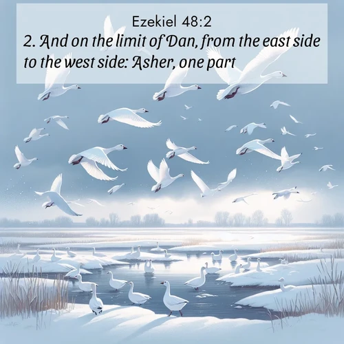 BasicEnglish Ezekiel  ; image nature: image with the bible verse :And on the limit of Dan, from the east side to the west side: Asher, one part. ; Explore Bible verses combined with serene beach photos, desert dunes, and infinite skies, highlighting God&#039;s majesty in every landscape. Download and share inspiring verses like KJV Ezekiel 48:2. Current verse is overlayed with the thematic nature scene : Snow geese take flight from a winter marsh. Their wings flash white against leaden skies. ; 48:2