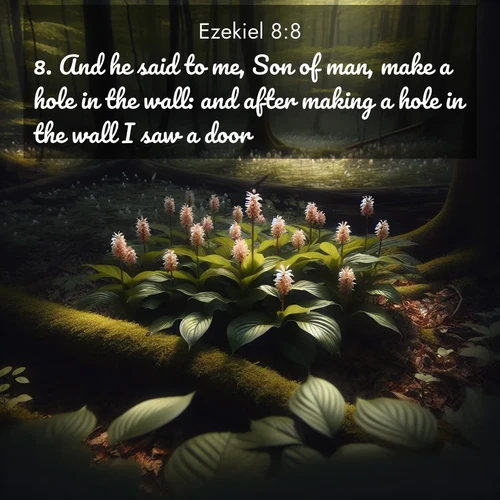 BasicEnglish Ezekiel  ; image nature: image with the bible verse :And he said to me, Son of man, make a hole in the wall: and after making a hole in the wall I saw a door. ; Access a vast collection of Bible verse images illustrated with natural landscapes like calm rivers, blooming fields, and bright horizons. These images emphasize the serenity and splendor of God&#039;s creation, accompanied by aesthetic fonts and joyful colors. Download verses like KJV Ezekiel 8:8 and share them. Current verse is overlayed with the thematic nature scene : Wild ginger blooms hidden in forest shadows. Filtered sunlight reveals their secret beauty. ; 8:8