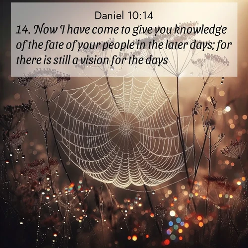 BBE Daniel 10:14 overlaying nature image scene: Morning fog reveals spider galaxies. Dew drops capture rainbow light.;14. Now I have come to give you knowledge of the fate of your people in the later days; for there is still a vision for the days.