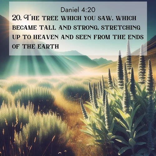 BasicEnglish Daniel  ; image nature: image with the bible verse :The tree which you saw, which became tall and strong, stretching up to heaven and seen from the ends of the earth; ; Explore a collection of Bible verses paired with springtime scenes, featuring blooming flowers, lush meadows, and trees in full bloom. These images symbolize divine renewal and hope. Download inspiring verses like KJV Daniel 4:20. Current verse is overlayed with the thematic nature scene : Summer heat brings out the scent of sage in mountain meadows. ; 4:20