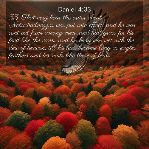 BasicEnglish Daniel  ; image nature: image with the bible verse :That very hour the order about Nebuchadnezzar was put into effect: and he was sent out from among men, and had grass for his food like the oxen, and his body was wet with the dew of heaven, till his hair became long as eagles&#039; feathers and his nails like those of birds. ; Dive into a gallery of Bible verses illustrated by tropical beach scenes, featuring sparkling waves, seashells, and radiant sunrises. These images evoke divine peace and joy. Download and share inspiring verses like KJV Daniel 4:33. Current verse is overlayed with the thematic nature scene : A red-tailed hawk circles above autumn woods. Leaves below form a mosaic of fire. ; 4:33