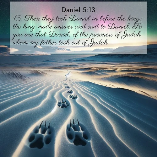 BBE Daniel 5:13 overlaying nature image scene: Arctic fox tracks cross windswept tundra. Northern lights pulse overhead in cosmic rhythm.;13. Then they took Daniel in before the king; the king made answer and said to Daniel, So you are that Daniel, of the prisoners of Judah, whom my father took out of Judah.
