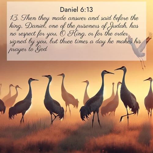 BasicEnglish Daniel  ; image nature: image with the bible verse :Then they made answer and said before the king, Daniel, one of the prisoners of Judah, has no respect for you, O King, or for the order signed by you, but three times a day he makes his prayer to God. ; Dive into our collection of Bible verse images combined with sublime nature photos, such as graceful waterfalls, radiant sunsets, and endless meadows. These compositions highlight the peace and harmony of God&#039;s creation with vivid colors and carefully integrated text. Download and share verses like KJV Daniel 6:13. Current verse is overlayed with the thematic nature scene : Sandhill cranes dance in morning mist. Their calls echo across the marsh. ; 6:13