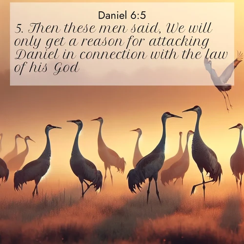 BasicEnglish Daniel  ; image nature: image with the bible verse :Then these men said, We will only get a reason for attacking Daniel in connection with the law of his God. ; Download Bible verse images paired with breathtaking nature photos like golden deserts, shimmering seas, and blossoming orchards. These high-quality, free images are perfect for wallpapers or sharing. Verses include KJV Daniel 6:5. Current verse is overlayed with the thematic nature scene : Sandhill cranes dance in morning mist. Their calls echo across the marsh. ; 6:5