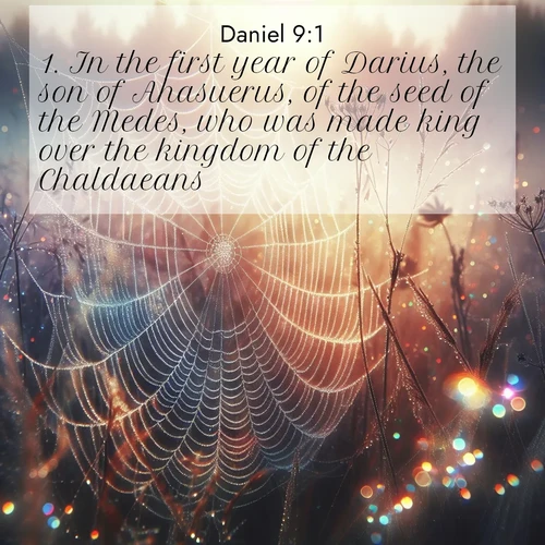 BBE Daniel 9:1 overlaying nature image scene: Morning fog reveals spider web galaxies. Dew drops catch rainbow light.;1. In the first year of Darius, the son of Ahasuerus, of the seed of the Medes, who was made king over the kingdom of the Chaldaeans;