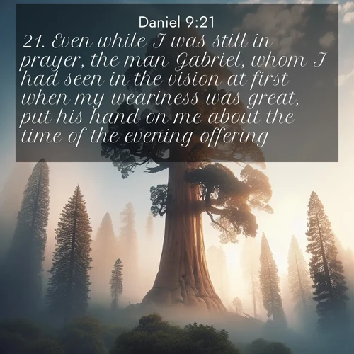 BBE Daniel 9:21 overlaying nature image scene: A giant sequoia reaches through morning fog. Centuries of growth stretch skyward in silent majesty.;21. Even while I was still in prayer, the man Gabriel, whom I had seen in the vision at first when my weariness was great, put his hand on me about the time of the evening offering.