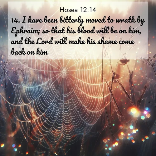 BBE Hosea 12:14 overlaying nature image scene: Morning fog reveals spider web galaxies. Dew drops catch rainbow light.;14. I have been bitterly moved to wrath by Ephraim; so that his blood will be on him, and the Lord will make his shame come back on him.
