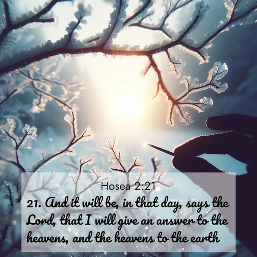 BBE Hosea 2:21 overlaying nature image scene: Winter sunrise glows through ice-coated branches.;21. And it will be, in that day, says the Lord, that I will give an answer to the heavens, and the heavens to the earth;