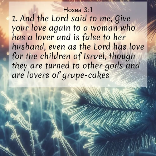 BBE Hosea 3:1 overlaying nature image scene: Morning frost rimes every needle. Weak sun struggles through branches.;1. And the Lord said to me, Give your love again to a woman who has a lover and is false to her husband, even as the Lord has love for the children of Israel, though they are turned to other gods and are lovers of grape-cakes.