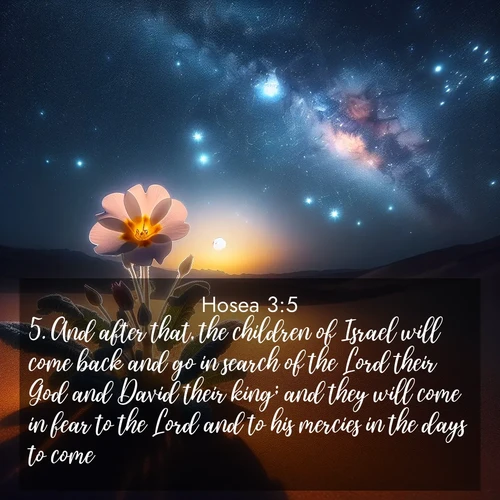 BBE Hosea 3:5 overlaying nature image scene: Desert primrose opens to stars. Night wind carries sweet perfume.;5. And after that, the children of Israel will come back and go in search of the Lord their God and David their king; and they will come in fear to the Lord and to his mercies in the days to come.