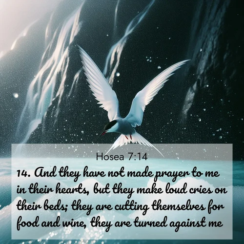 BBE Hosea 7:14 overlaying nature image scene: Arctic terns dive through sea spray above turquoise glacial meltwater. Their white wings flash silver against obsidian cliffs.;14. And they have not made prayer to me in their hearts, but they make loud cries on their beds; they are cutting themselves for food and wine, they are turned against me.