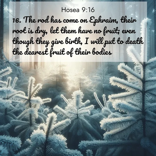 BBE Hosea 9:16 overlaying nature image scene: Morning frost rimes every pine needle. Weak winter sun struggles to pierce the forest.;16. The rod has come on Ephraim, their root is dry, let them have no fruit; even though they give birth, I will put to death the dearest fruit of their bodies.