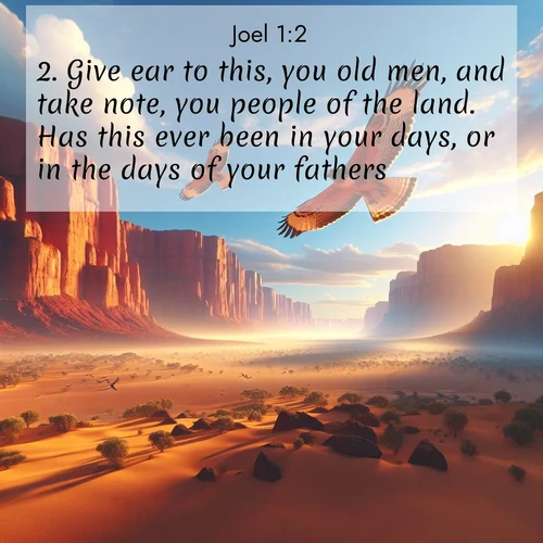 BBE 29 1:2