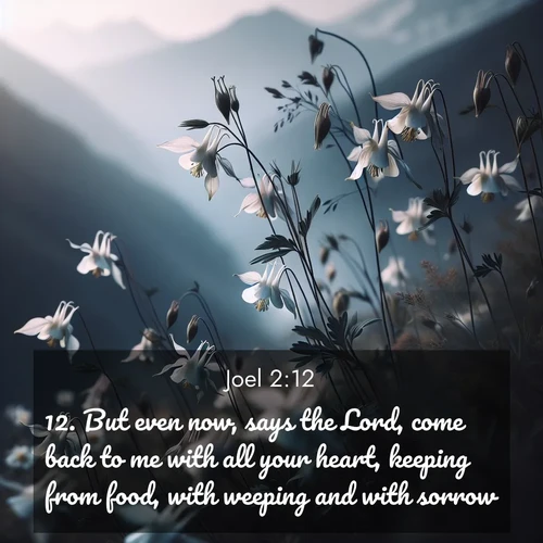 BasicEnglish Joel  ; image nature: image with the bible verse :But even now, says the Lord, come back to me with all your heart, keeping from food, with weeping and with sorrow: ; Explore a winter collection of Bible verse images adorned with photos of icy landscapes, frozen waterfalls, and snow-covered forests. These scenes capture divine tranquility and purity. Download inspiring verses like KJV Joel 2:12. Current verse is overlayed with the thematic nature scene : Wild columbines dance in breeze. Mountain air carries their perfume. ; 2:12