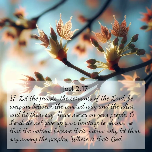 BBE Joel 2:17 overlaying nature image scene: Spring buds burst open on maple branches against a blue sky.;17. Let the priests, the servants of the Lord, be weeping between the covered way and the altar, and let them say, Have mercy on your people, O Lord, do not give up your heritage to shame, so that the nations become their rulers: why let them say among the peoples, Where is their God?
