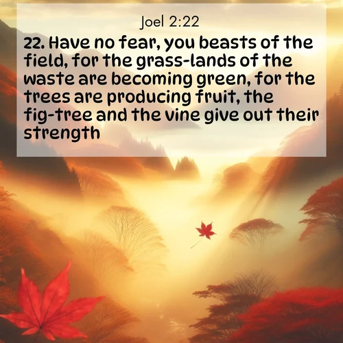 BBE Joel 2:22 overlaying nature image scene: Autumn fog fills a mountain valley. A red maple leaf drifts through golden light.;22. Have no fear, you beasts of the field, for the grass-lands of the waste are becoming green, for the trees are producing fruit, the fig-tree and the vine give out their strength.