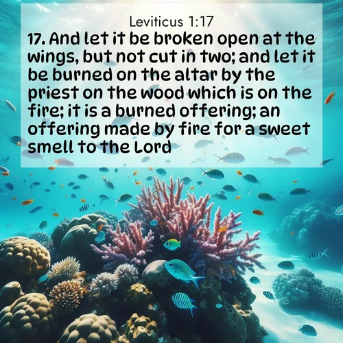 BasicEnglish Leviticus  ; image nature: image with the bible verse :And let it be broken open at the wings, but not cut in two; and let it be burned on the altar by the priest on the wood which is on the fire; it is a burned offering; an offering made by fire for a sweet smell to the Lord. ; Download Bible verse images featuring vibrant photos of nature, from snowy landscapes to golden deserts. These free images are perfect for phone wallpapers, desktop backgrounds, or sharing. Verses include KJV Leviticus 1:17. Current verse is overlayed with the thematic nature scene : Tropical fish dart through coral reefs in crystal-clear waters. ; 1:17