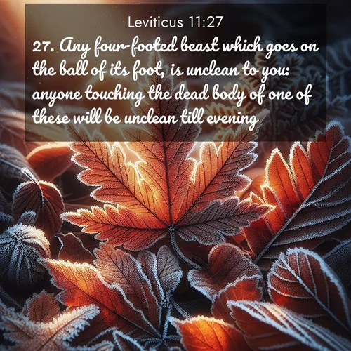 BasicEnglish Leviticus  ; image nature: image with the bible verse :Any four-footed beast which goes on the ball of its foot, is unclean to you: anyone touching the dead body of one of these will be unclean till evening. ; Discover our unique collection of Bible verse images integrated with photos showcasing the majesty of nature, such as rocky mountains, ancient trees, and crystal-clear lakes. These images feature luminous colors and text in varied fonts, reflecting the harmony of God&#039;s creation. Download verses like KJV Leviticus 11:27. Current verse is overlayed with the thematic nature scene : Autumn frost rims fallen leaves with crystal. ; 11:27