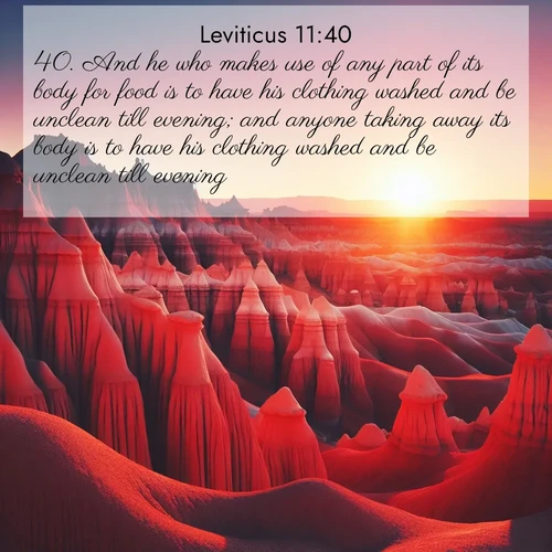 BasicEnglish Leviticus  ; image nature: image with the bible verse :And he who makes use of any part of its body for food is to have his clothing washed and be unclean till evening; and anyone taking away its body is to have his clothing washed and be unclean till evening. ; Browse our selection of stunning Bible verse images featuring unique natural scenes like fiery autumn forests, serene meadows, and starlit skies. Download and share verses like KJV Leviticus 11:40 for free. Current verse is overlayed with the thematic nature scene : Wind-carved hoodoos stand like sentinels in the painted desert. Their red-rock spires catch the last rays of sunset. ; 11:40