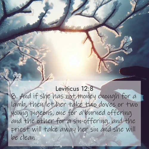 BBE Leviticus 12:8 overlaying nature image scene: Winter sunrise glows through ice-coated branches.;8. And if she has not money enough for a lamb, then let her take two doves or two young pigeons, one for a burned offering and the other for a sin-offering, and the priest will take away her sin and she will be clean,