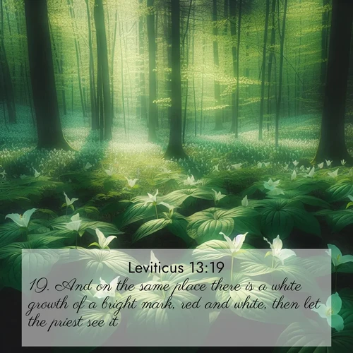 BasicEnglish Leviticus  ; image nature: image with the bible verse :And on the same place there is a white growth of a bright mark, red and white, then let the priest see it; ; Discover tranquil Bible verse images enhanced with natural scenery like rippling brooks, snow-covered fields, and sunlit beaches. These free images are perfect for wallpapers or spiritual reflection. Share KJV Leviticus 13:19. Current verse is overlayed with the thematic nature scene : Wild trillium dots the forest floor. Green light filters through spring leaves. ; 13:19