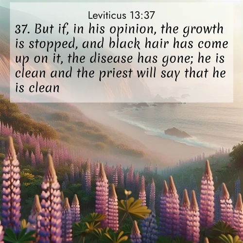 BasicEnglish Leviticus  ; image nature: image with the bible verse :But if, in his opinion, the growth is stopped, and black hair has come up on it, the disease has gone; he is clean and the priest will say that he is clean. ; Discover Bible images illustrated by desert landscapes, like sand dunes, majestic rocks, and starry skies. These images symbolize the grandeur and immensity of God&#039;s creation. Download verses like KJV Leviticus 13:37. Current verse is overlayed with the thematic nature scene : Wild lupines carpet coastal bluffs. Pacific fog rolls in like smoke. ; 13:37