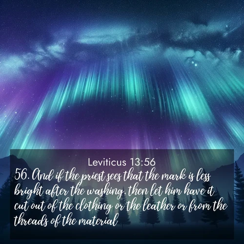 BasicEnglish Leviticus  ; image nature: image with the bible verse :And if the priest sees that the mark is less bright after the washing, then let him have it cut out of the clothing or the leather or from the threads of the material: ; Download Bible verse images paired with breathtaking nature photos like golden deserts, shimmering seas, and blossoming orchards. These high-quality, free images are perfect for wallpapers or sharing. Verses include KJV Leviticus 13:56. Current verse is overlayed with the thematic nature scene : Aurora borealis ripples like cosmic curtains. Pine trees stand sentinel beneath the light show. ; 13:56