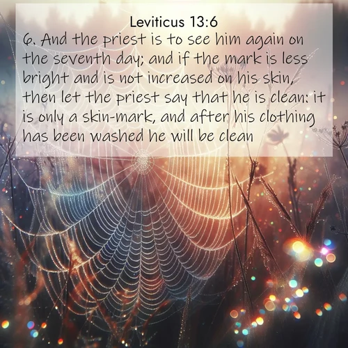 BasicEnglish Leviticus  ; image nature: image with the bible verse :And the priest is to see him again on the seventh day; and if the mark is less bright and is not increased on his skin, then let the priest say that he is clean: it is only a skin-mark, and after his clothing has been washed he will be clean. ; Browse our collection of vibrant Bible verse images set against calming backdrops like tropical shores, quiet woods, and majestic mountains. Download free wallpapers featuring KJV Leviticus 13:6. Current verse is overlayed with the thematic nature scene : Morning fog reveals spider web galaxies. Dew drops catch rainbow light. ; 13:6