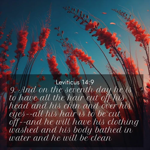 BasicEnglish Leviticus  ; image nature: image with the bible verse :And on the seventh day he is to have all the hair cut off his head and his chin and over his eyes--all his hair is to be cut off--and he will have his clothing washed and his body bathed in water and he will be clean. ; Download Bible verse images featuring vibrant photos of nature, from snowy landscapes to golden deserts. These free images are perfect for phone wallpapers, desktop backgrounds, or sharing. Verses include KJV Leviticus 14:9. Current verse is overlayed with the thematic nature scene : Desert ocotillo flames against blue sky. Wind sings through its scarlet blooms. ; 14:9