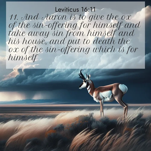 BasicEnglish Leviticus  ; image nature: image with the bible verse :And Aaron is to give the ox of the sin-offering for himself and take away sin from himself and his house, and put to death the ox of the sin-offering which is for himself. ; Explore Bible verses combined with serene beach photos, desert dunes, and infinite skies, highlighting God&#039;s majesty in every landscape. Download and share inspiring verses like KJV Leviticus 16:11. Current verse is overlayed with the thematic nature scene : A pronghorn pauses on wind-swept plains. Storm clouds build dark towers above. ; 16:11