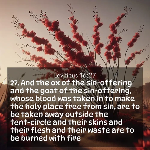 BasicEnglish Leviticus  ; image nature: image with the bible verse :And the ox of the sin-offering and the goat of the sin-offering, whose blood was taken in to make the holy place free from sin, are to be taken away outside the tent-circle and their skins and their flesh and their waste are to be burned with fire. ; Explore a collection of inspiring Bible verse images accompanied by winter photos, such as snowy landscapes, frosted trees, and frozen lakes. These images reflect the peace and purity of God&#039;s creation, with elegant fonts and luminous colors. Download and share verses like KJV Leviticus 16:27. Current verse is overlayed with the thematic nature scene : Desert ocotillo flames crimson red. Wind sings through thorny branches. ; 16:27