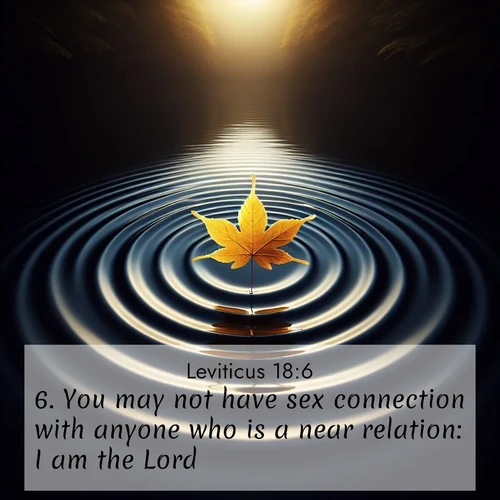BBE Leviticus 18:6 overlaying nature image scene: A single maple leaf floats on black water. Concentric ripples spread outward into infinity.;6. You may not have sex connection with anyone who is a near relation: I am the Lord.