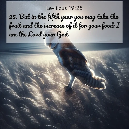 BasicEnglish Leviticus  ; image nature: image with the bible verse :But in the fifth year you may take the fruit and the increase of it for your food: I am the Lord your God. ; Browse a vast collection of Bible verse images featuring awe-inspiring landscapes such as calm lakes, vibrant sunsets, and peaceful fields. Download them for free and enjoy verses like KJV Leviticus 19:25. Current verse is overlayed with the thematic nature scene : A barn owl quarters silent fields. Moonlight turns meadow grass to silver. ; 19:25