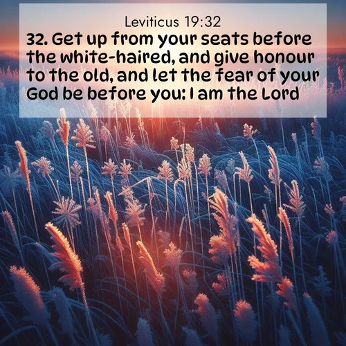 BasicEnglish Leviticus  ; image nature: image with the bible verse :Get up from your seats before the white-haired, and give honour to the old, and let the fear of your God be before you: I am the Lord. ; Dive into our collection of Bible verses paired with coastal scenes, featuring calming waves, infinite beaches, and reflections of the sun on the water. These images evoke the peace and beauty of God. Share verses like KJV Leviticus 19:32. Current verse is overlayed with the thematic nature scene : Winter sunrise illuminates frost-covered prairie grass. ; 19:32