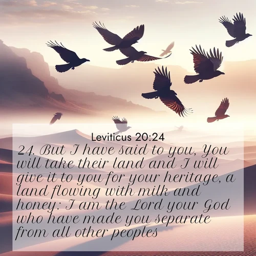 BBE Leviticus 20:24 overlaying nature image scene: Desert ravens soar on thermal currents. Their wings wear shadows like cloaks.;24. But I have said to you, You will take their land and I will give it to you for your heritage, a land flowing with milk and honey: I am the Lord your God who have made you separate from all other peoples.
