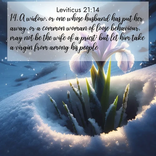 BBE Leviticus 21:14 overlaying nature image scene: Wild iris breaks through spring snow. Alpine light ignites petals.;14. A widow, or one whose husband has put her away, or a common woman of loose behaviour, may not be the wife of a priest; but let him take a virgin from among his people.
