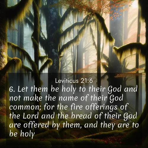 BBE Leviticus 21:6 overlaying nature image scene: Autumn fog shrouds an old-growth forest draped in moss and lichen.;6. Let them be holy to their God and not make the name of their God common; for the fire offerings of the Lord and the bread of their God are offered by them, and they are to be holy.
