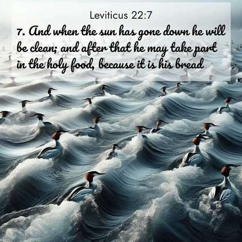 BasicEnglish Leviticus  ; image nature: image with the bible verse :And when the sun has gone down he will be clean; and after that he may take part in the holy food, because it is his bread. ; Discover inspiring Bible verse images featuring natural wonders like lush forests, sunny horizons, and cascading waterfalls. Perfect for wallpapers or spiritual encouragement. Download verses like KJV Leviticus 22:7. Current verse is overlayed with the thematic nature scene : Wild mergansers ride river rapids. Their wakes create endless patterns. ; 22:7