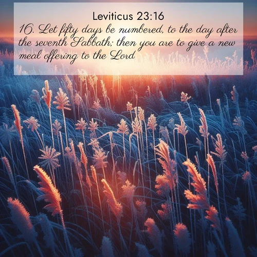 BBE Leviticus 23:16 overlaying nature image scene: Winter sunrise illuminates frost-covered prairie grass.;16. Let fifty days be numbered, to the day after the seventh Sabbath; then you are to give a new meal offering to the Lord.