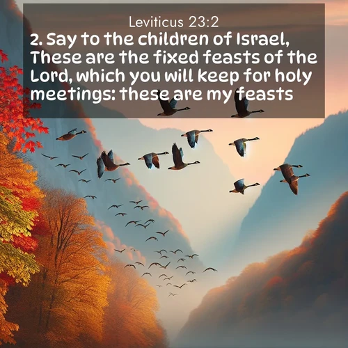 BBE 3 23:2
