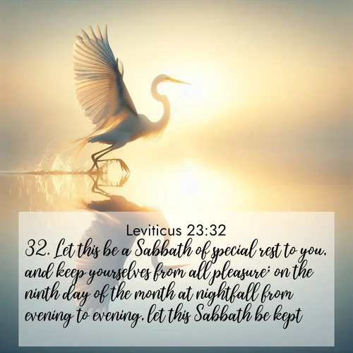 BBE Leviticus 23:32 overlaying nature image scene: A great egret lifts from mirror-still water. Sunrise sets its wings ablaze.;32. Let this be a Sabbath of special rest to you, and keep yourselves from all pleasure; on the ninth day of the month at nightfall from evening to evening, let this Sabbath be kept.