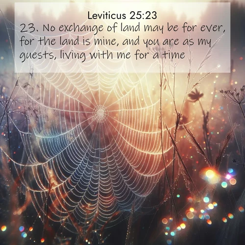 BasicEnglish Leviticus  ; image nature: image with the bible verse :No exchange of land may be for ever, for the land is mine, and you are as my guests, living with me for a time. ; Dive into our collection of Bible verse images combined with sublime nature photos, such as graceful waterfalls, radiant sunsets, and endless meadows. These compositions highlight the peace and harmony of God&#039;s creation with vivid colors and carefully integrated text. Download and share verses like KJV Leviticus 25:23. Current verse is overlayed with the thematic nature scene : Morning fog reveals spider web galaxies. Dew drops catch rainbow light. ; 25:23