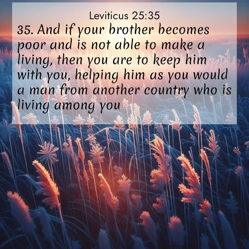 BasicEnglish Leviticus  ; image nature: image with the bible verse :And if your brother becomes poor and is not able to make a living, then you are to keep him with you, helping him as you would a man from another country who is living among you. ; Discover a unique collection of Bible verses adorned with winter landscapes, such as snow-covered forests, gently falling snowflakes, and pristine mountains. These images evoke the peace and purity of God&#039;s creation. Share verses like KJV Leviticus 25:35. Current verse is overlayed with the thematic nature scene : Winter sunrise illuminates frost-covered prairie grass. ; 25:35