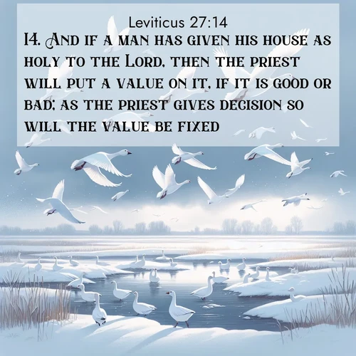 BBE Leviticus 27:14 overlaying nature image scene: Snow geese take flight from a winter marsh. Their wings flash white against leaden skies.;14. And if a man has given his house as holy to the Lord, then the priest will put a value on it, if it is good or bad; as the priest gives decision so will the value be fixed.